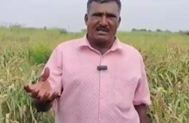 Viru Yadav